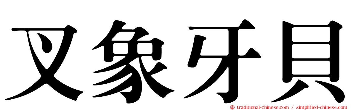 叉象牙貝