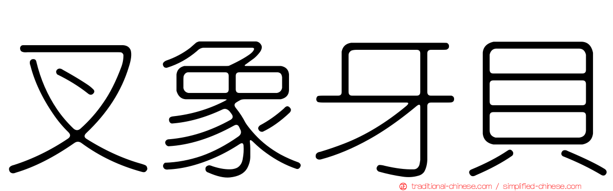 叉象牙貝