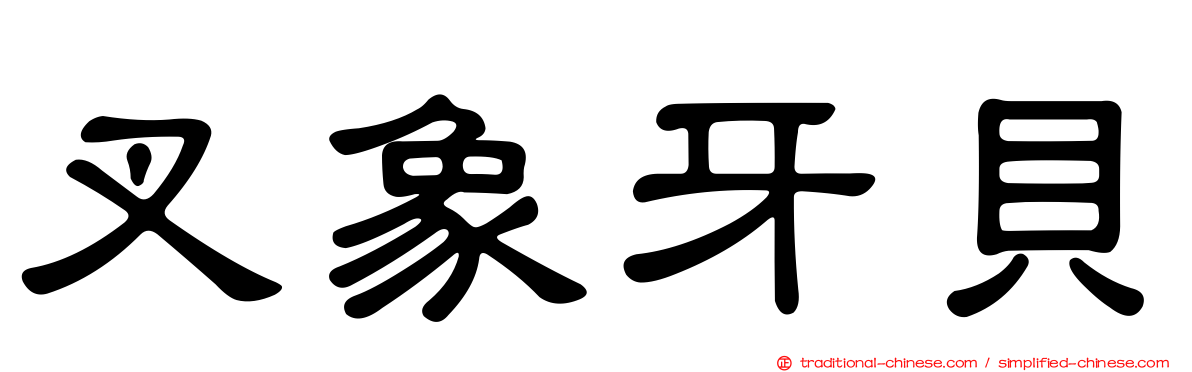 叉象牙貝