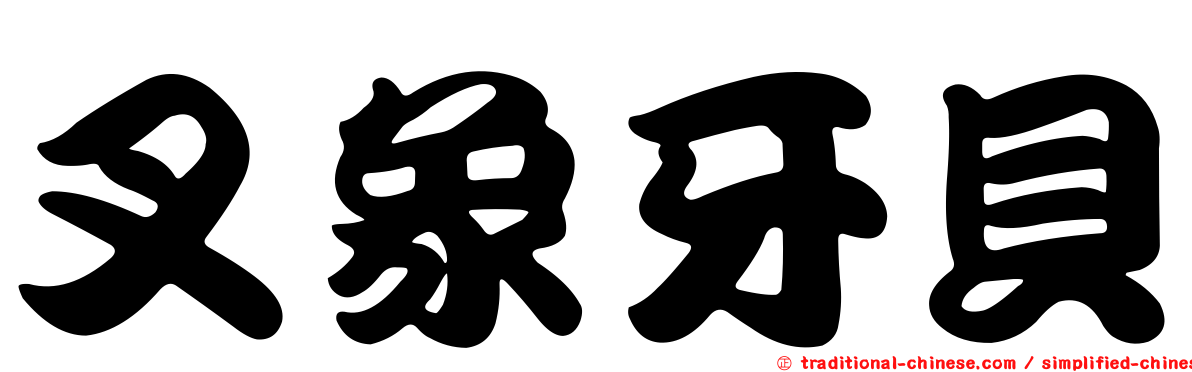 叉象牙貝