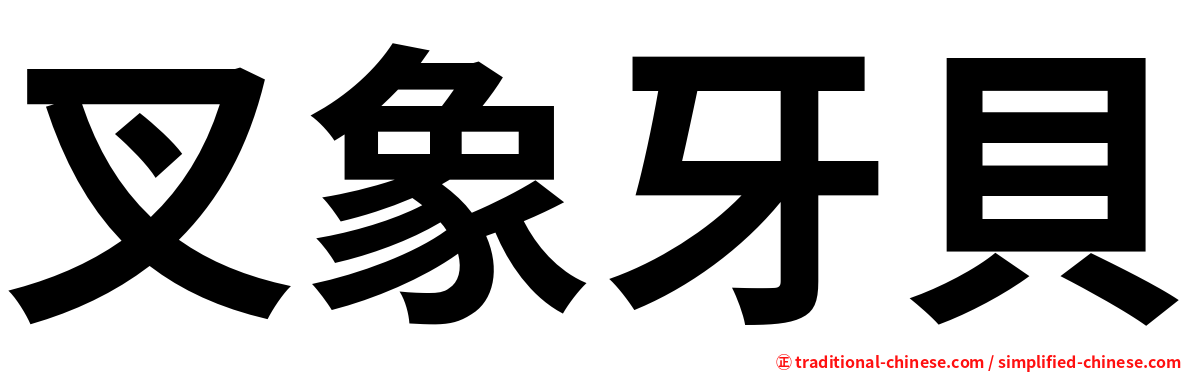 叉象牙貝