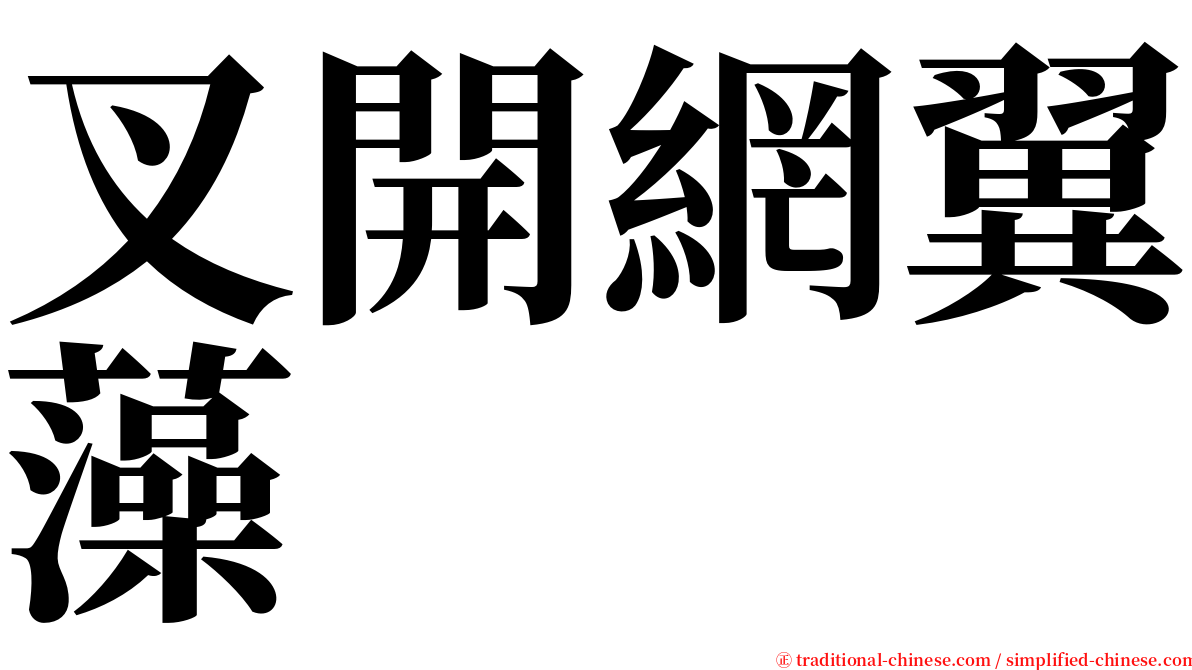 叉開網翼藻 serif font