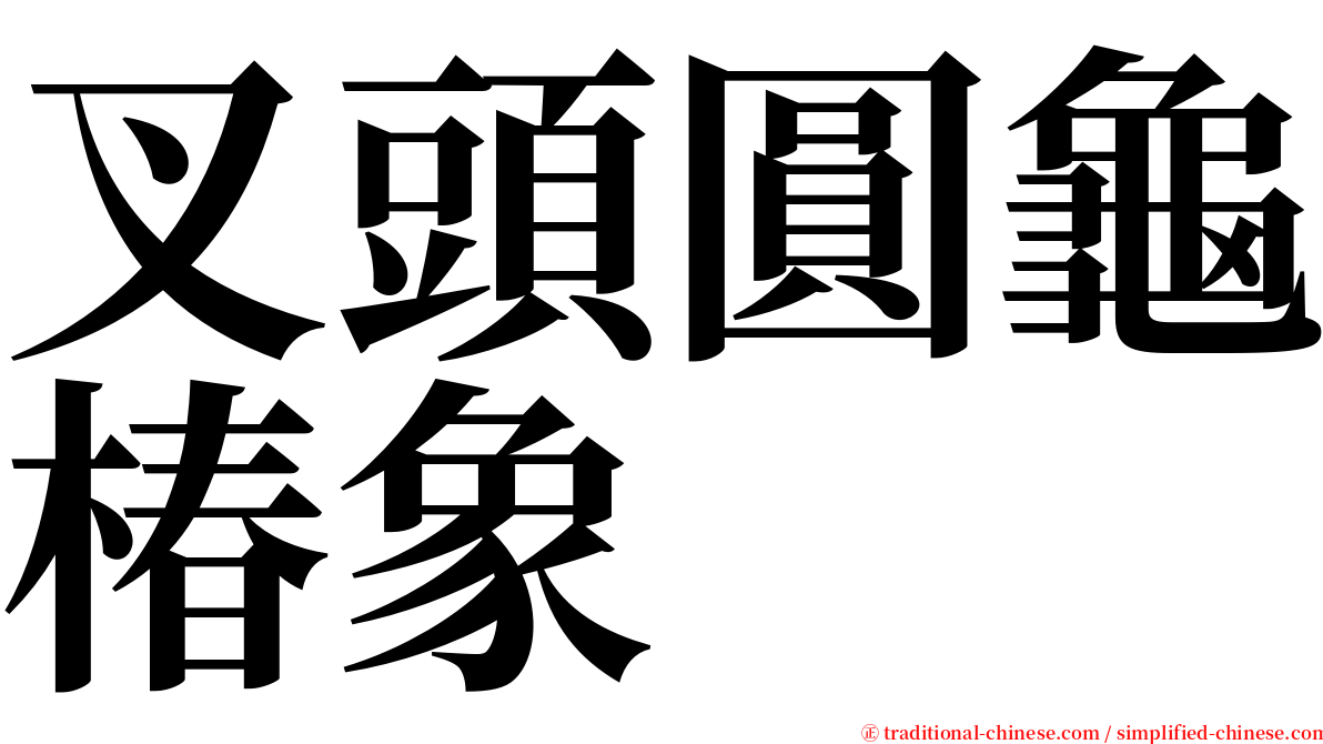 叉頭圓龜椿象 serif font