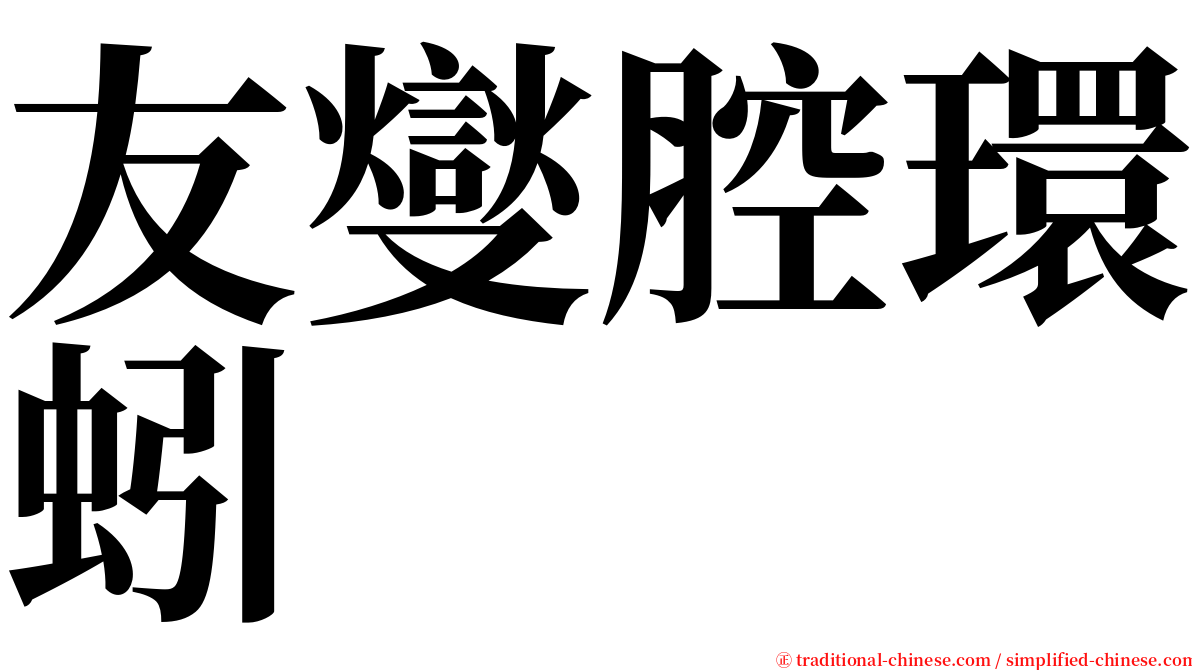 友燮腔環蚓 serif font