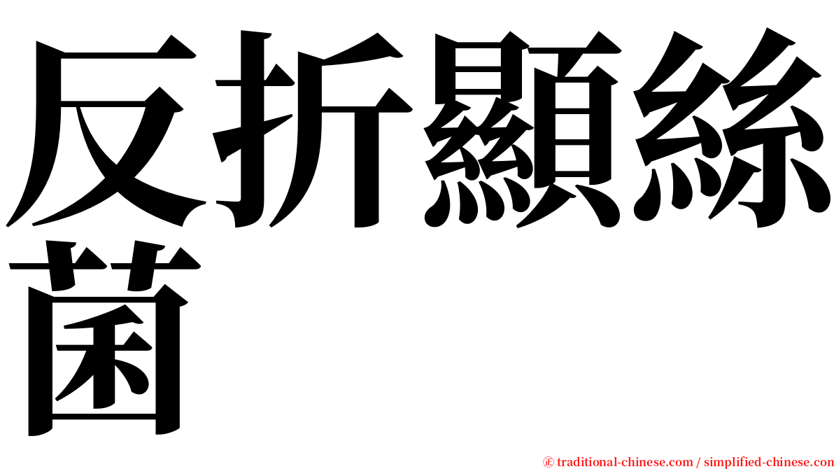 反折顯絲菌 serif font