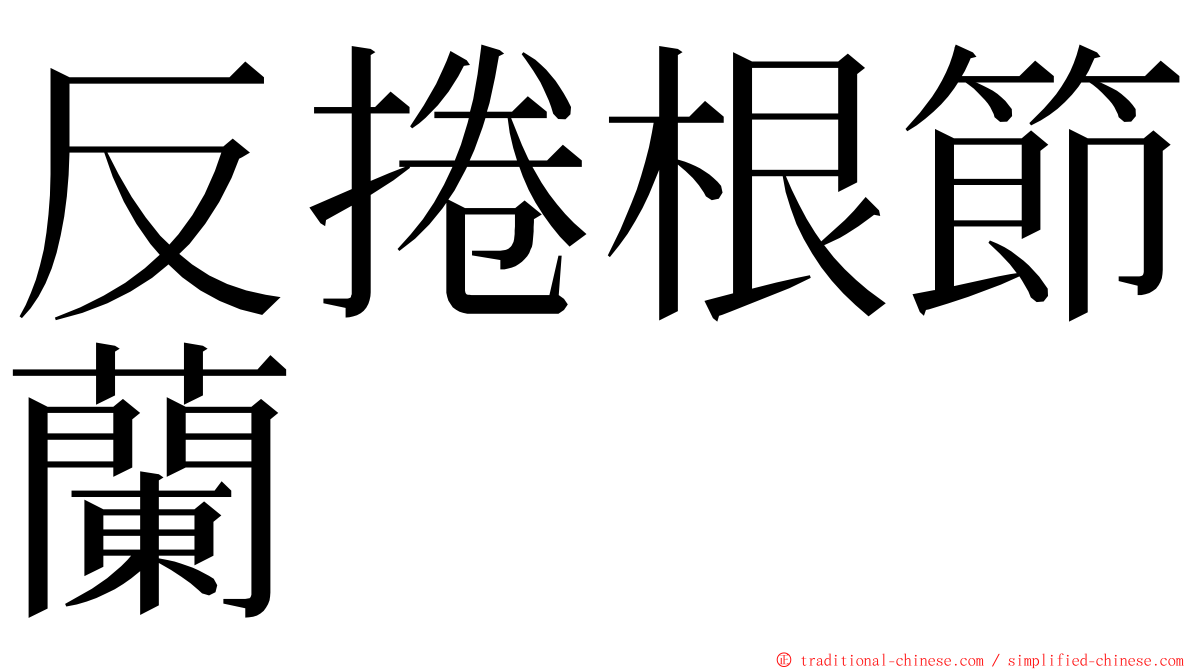 反捲根節蘭 ming font