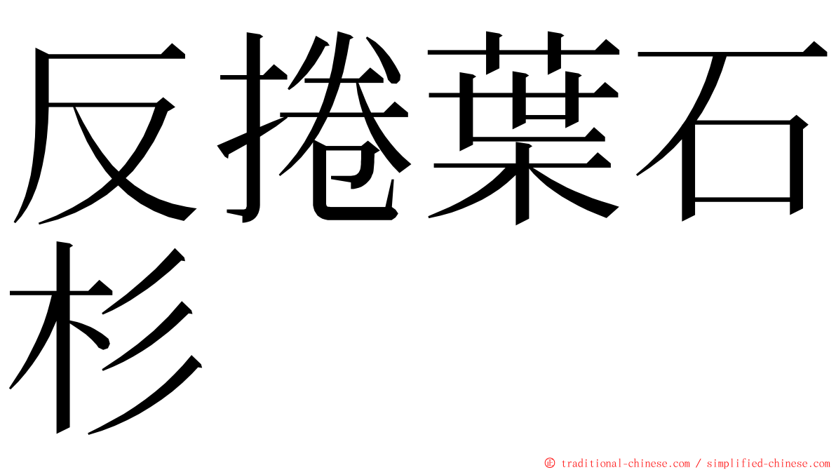 反捲葉石杉 ming font