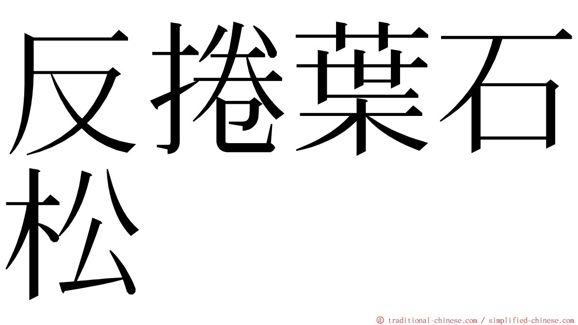 反捲葉石松 ming font