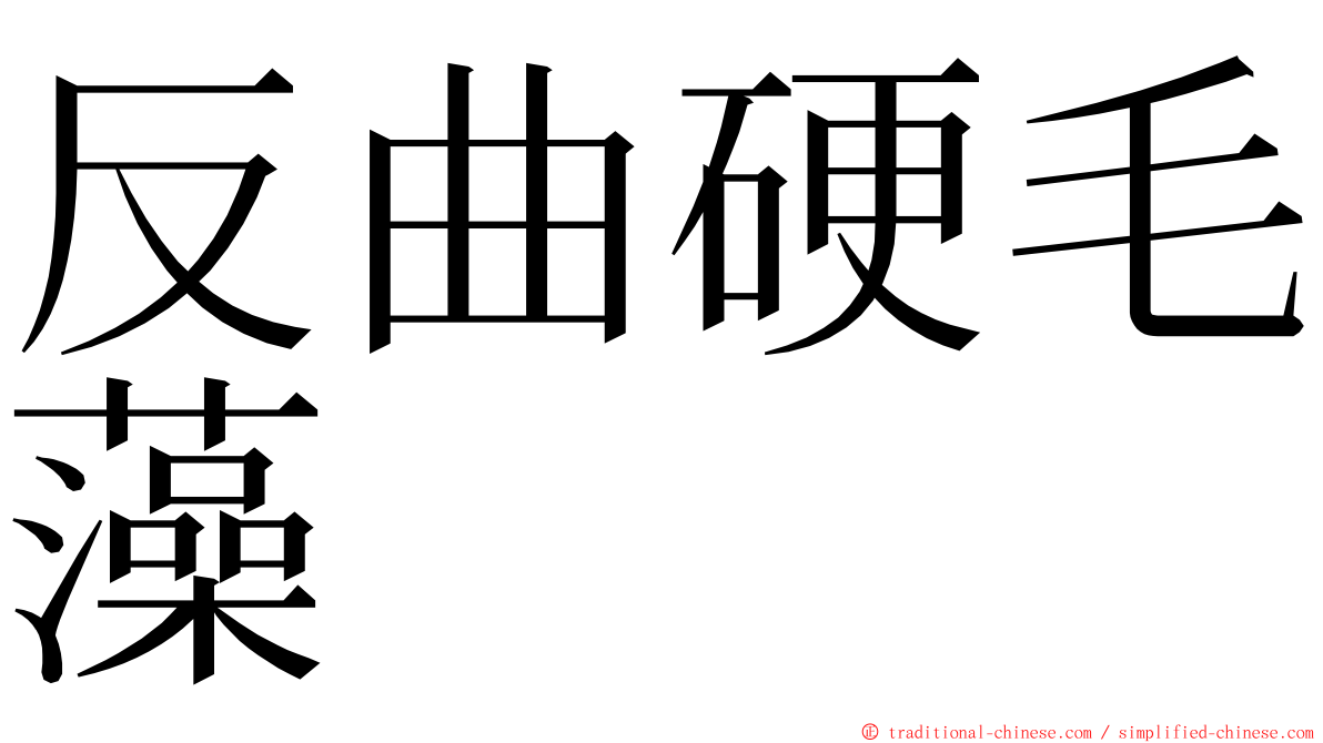 反曲硬毛藻 ming font