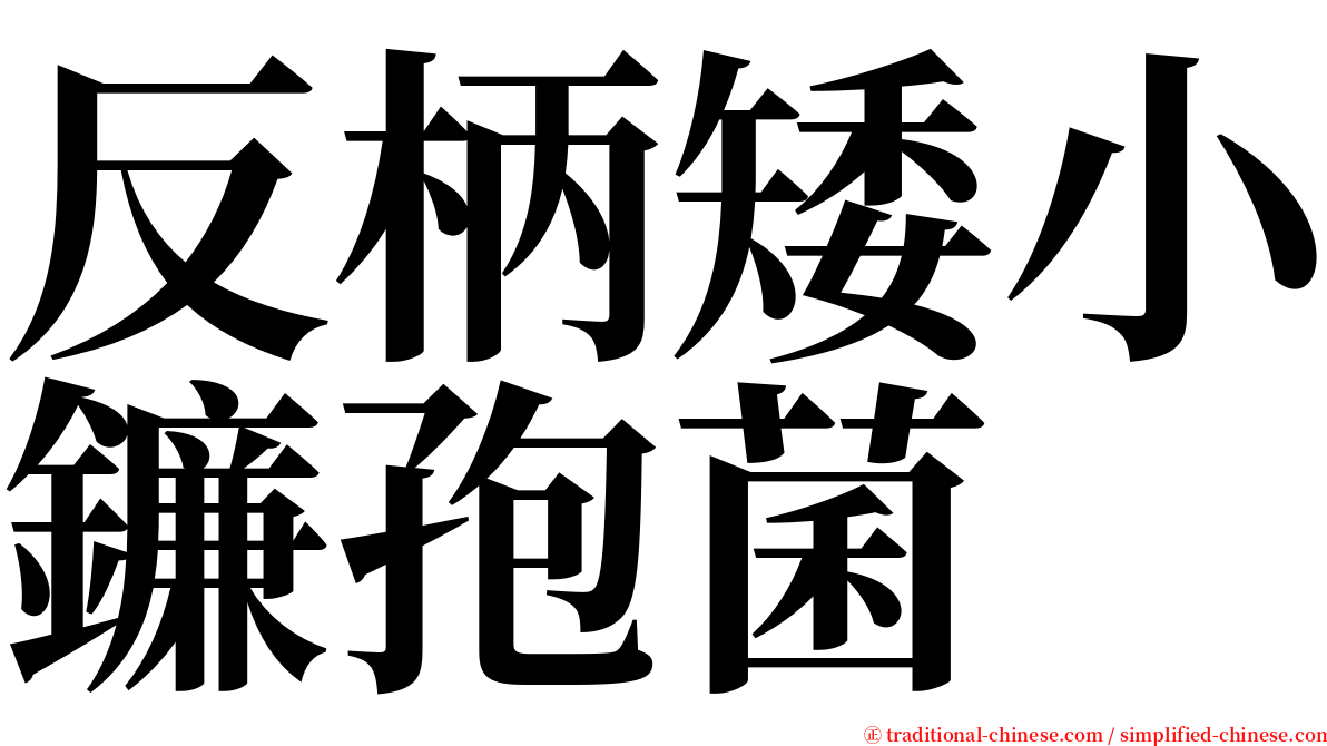 反柄矮小鐮孢菌 serif font