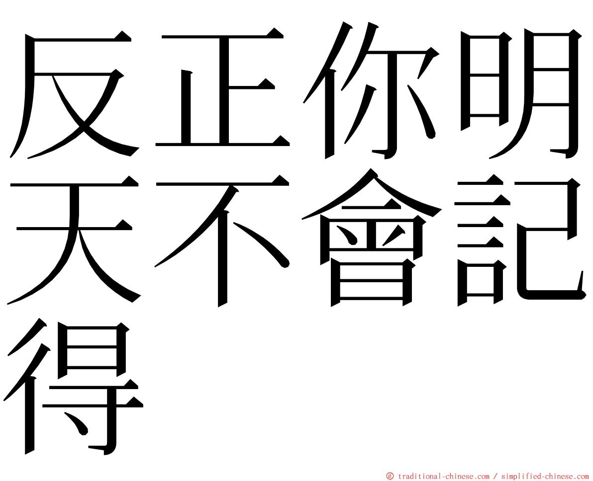 反正你明天不會記得 ming font