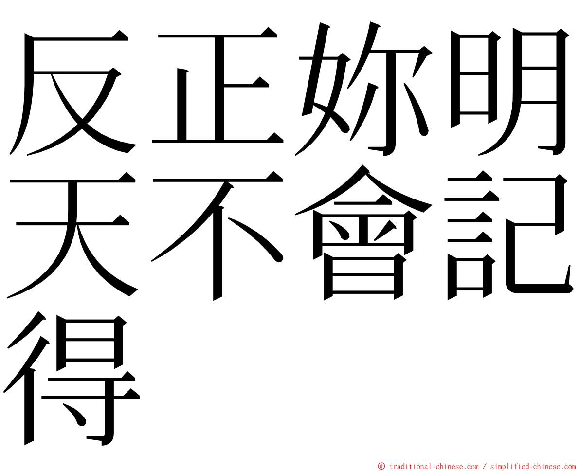 反正妳明天不會記得 ming font