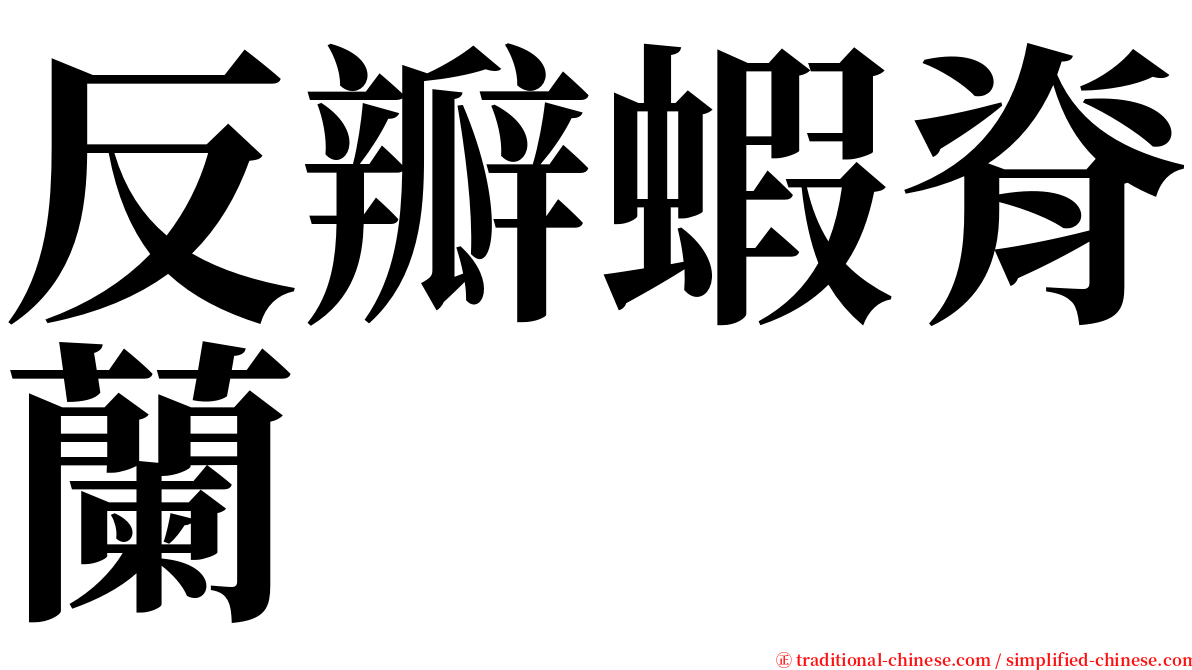 反瓣蝦脊蘭 serif font