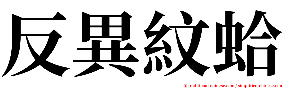 反異紋蛤 serif font