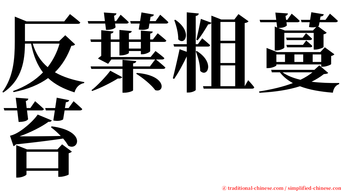 反葉粗蔓苔 serif font