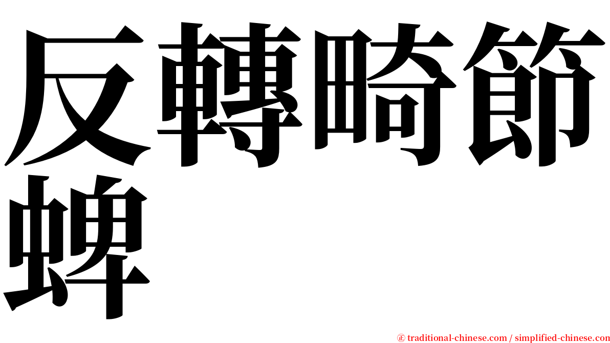 反轉畸節蜱 serif font