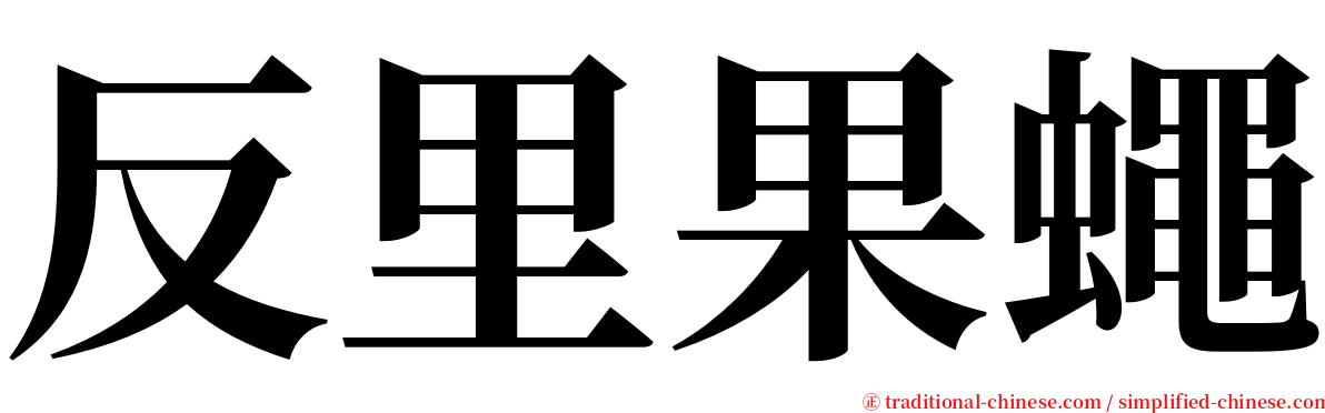 反里果蠅 serif font