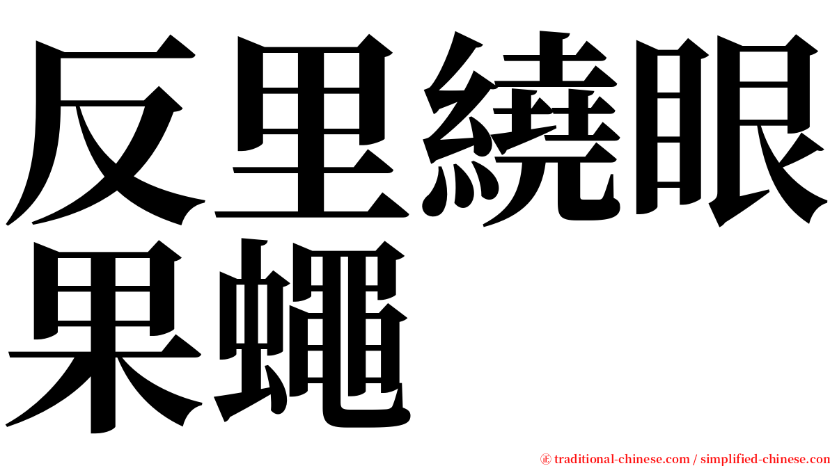 反里繞眼果蠅 serif font