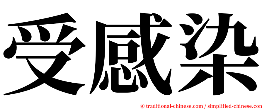 受感染 serif font