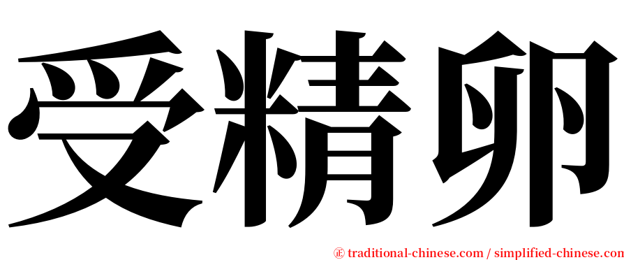 受精卵 serif font