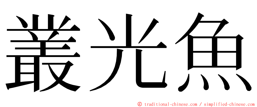 叢光魚 ming font