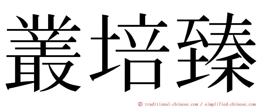 叢培臻 ming font