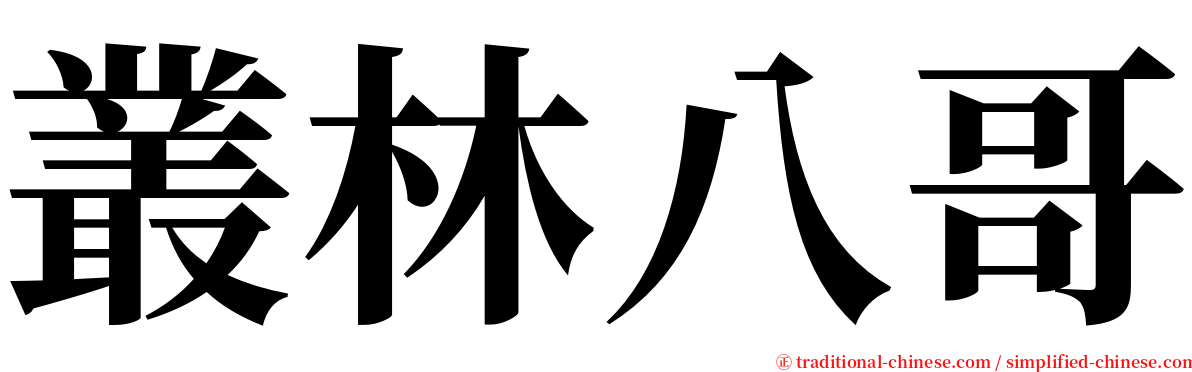 叢林八哥 serif font