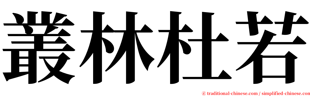 叢林杜若 serif font