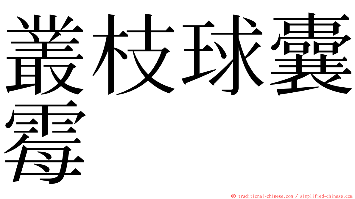 叢枝球囊霉 ming font