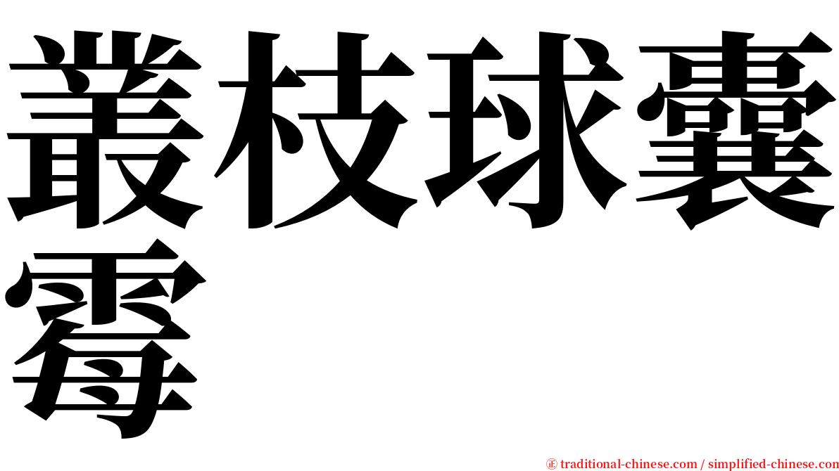 叢枝球囊霉 serif font