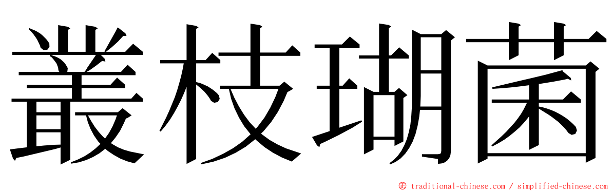 叢枝瑚菌 ming font