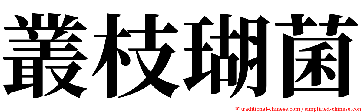 叢枝瑚菌 serif font