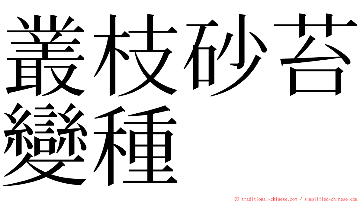 叢枝砂苔變種 ming font