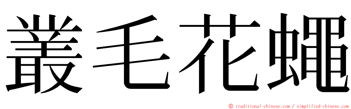 叢毛花蠅 ming font