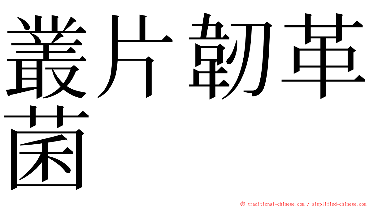 叢片韌革菌 ming font