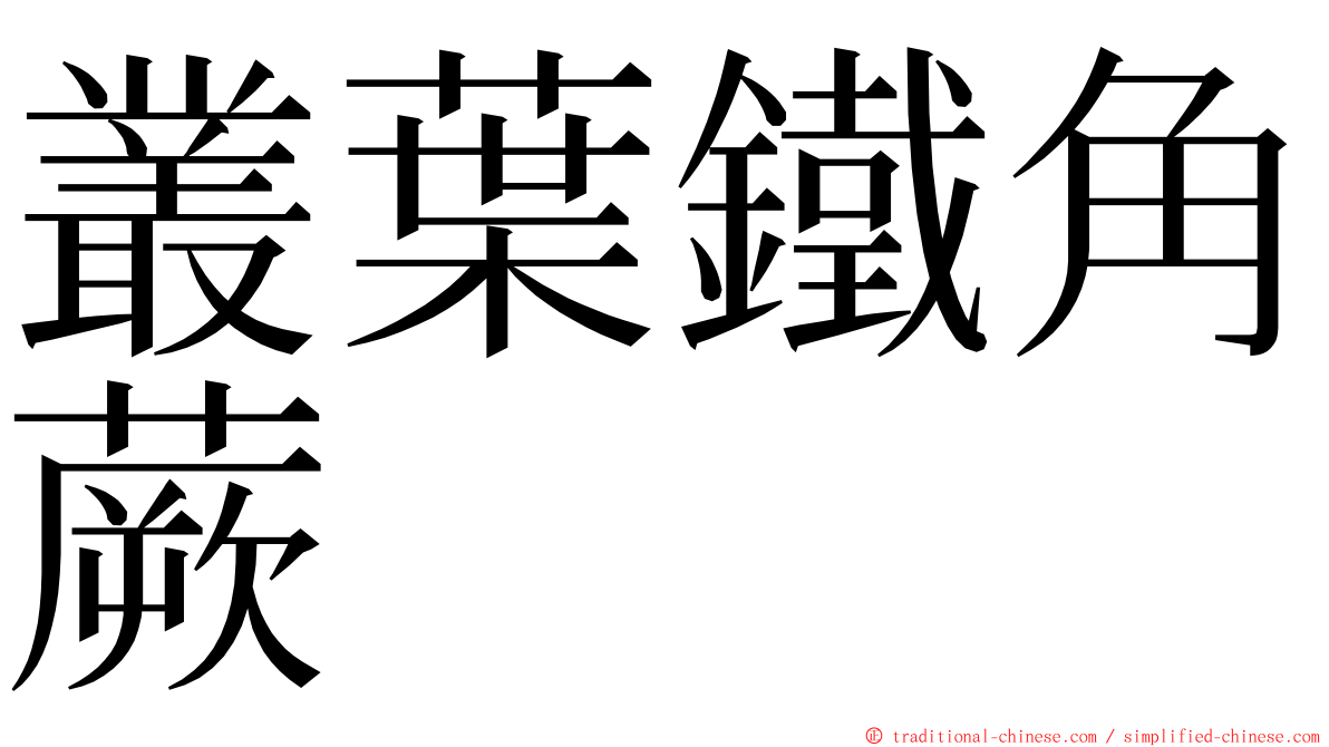 叢葉鐵角蕨 ming font