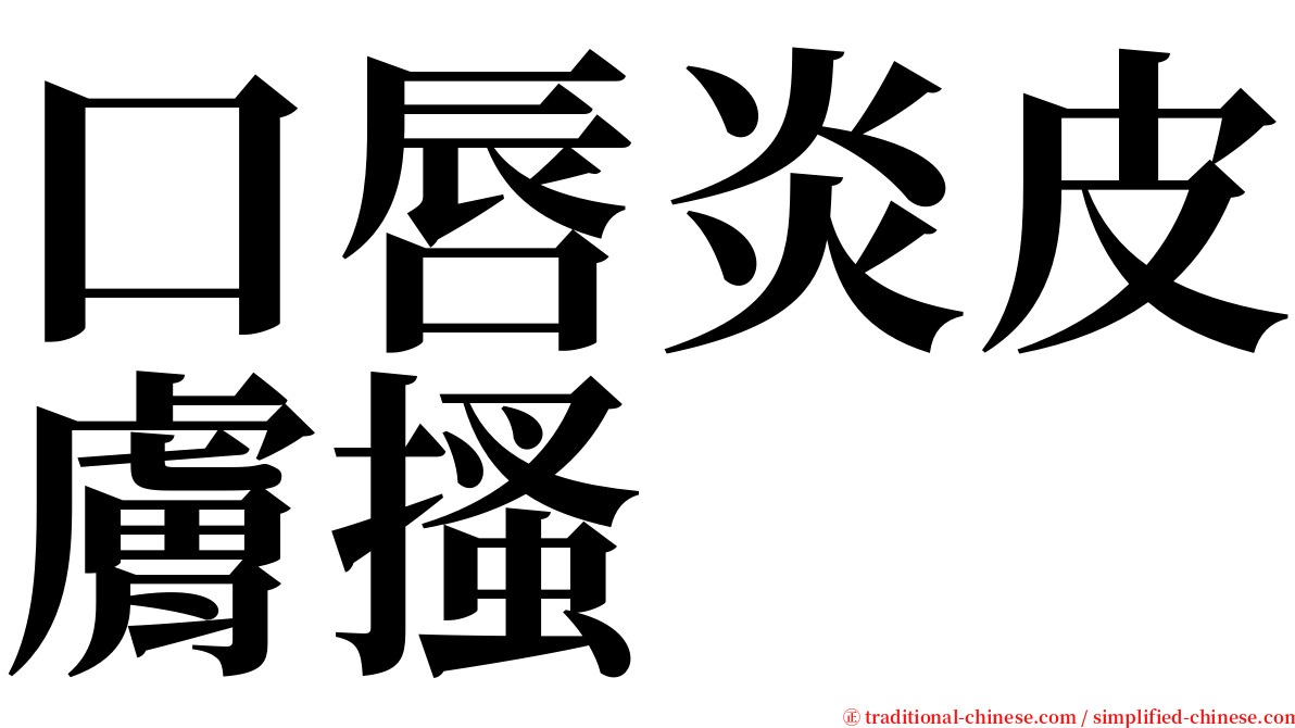 口唇炎皮膚搔 serif font