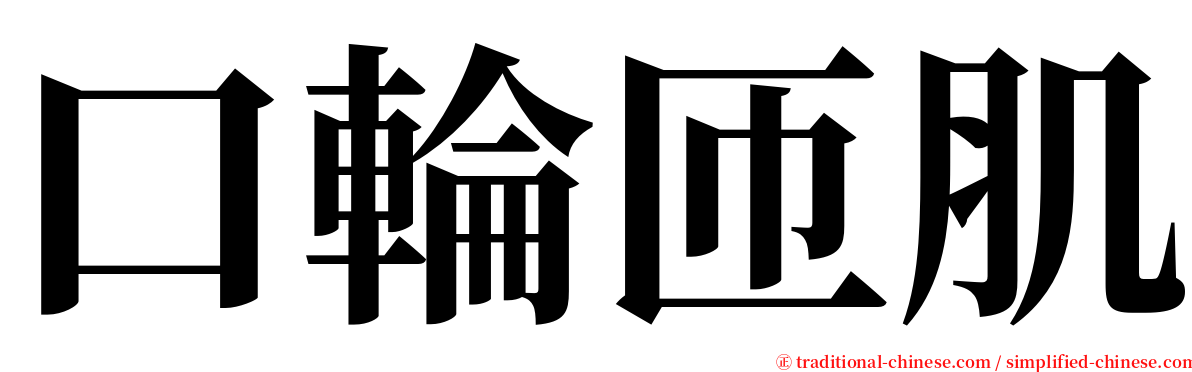 口輪匝肌 serif font