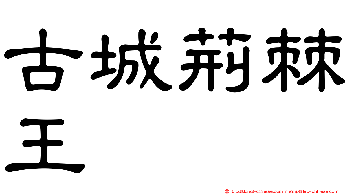 古城荊棘王