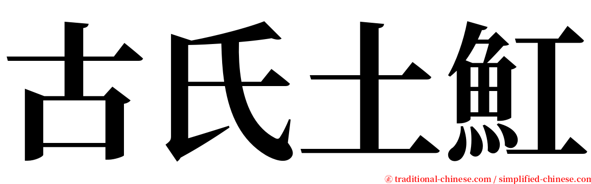 古氏土魟 serif font