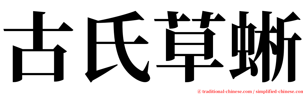 古氏草蜥 serif font