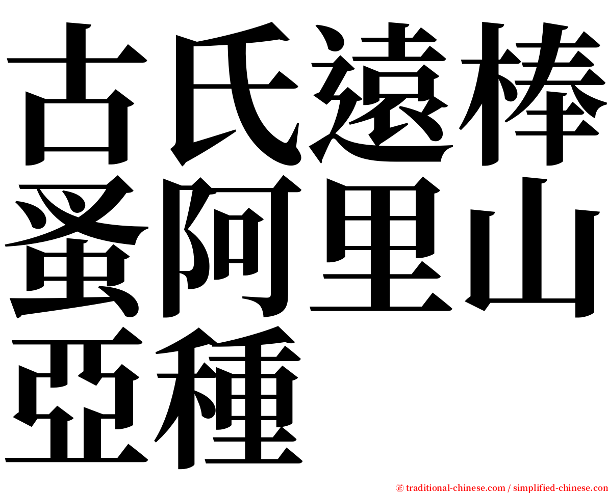 古氏遠棒蚤阿里山亞種 serif font