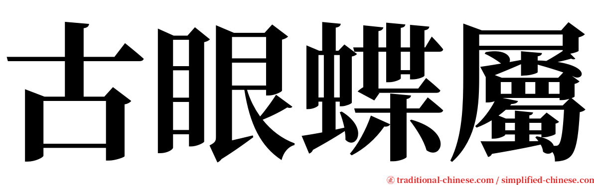 古眼蝶屬 serif font