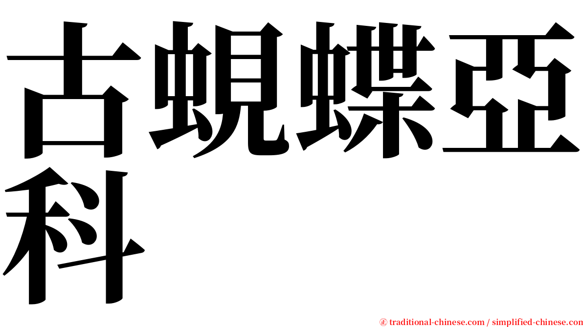 古蜆蝶亞科 serif font