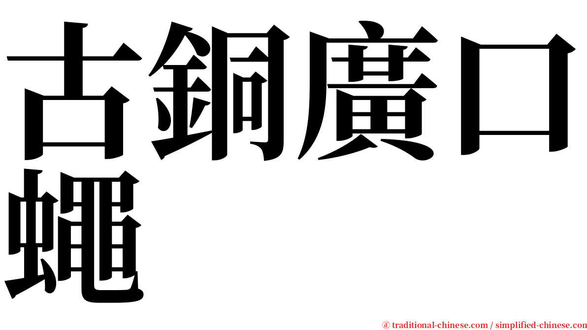 古銅廣口蠅 serif font