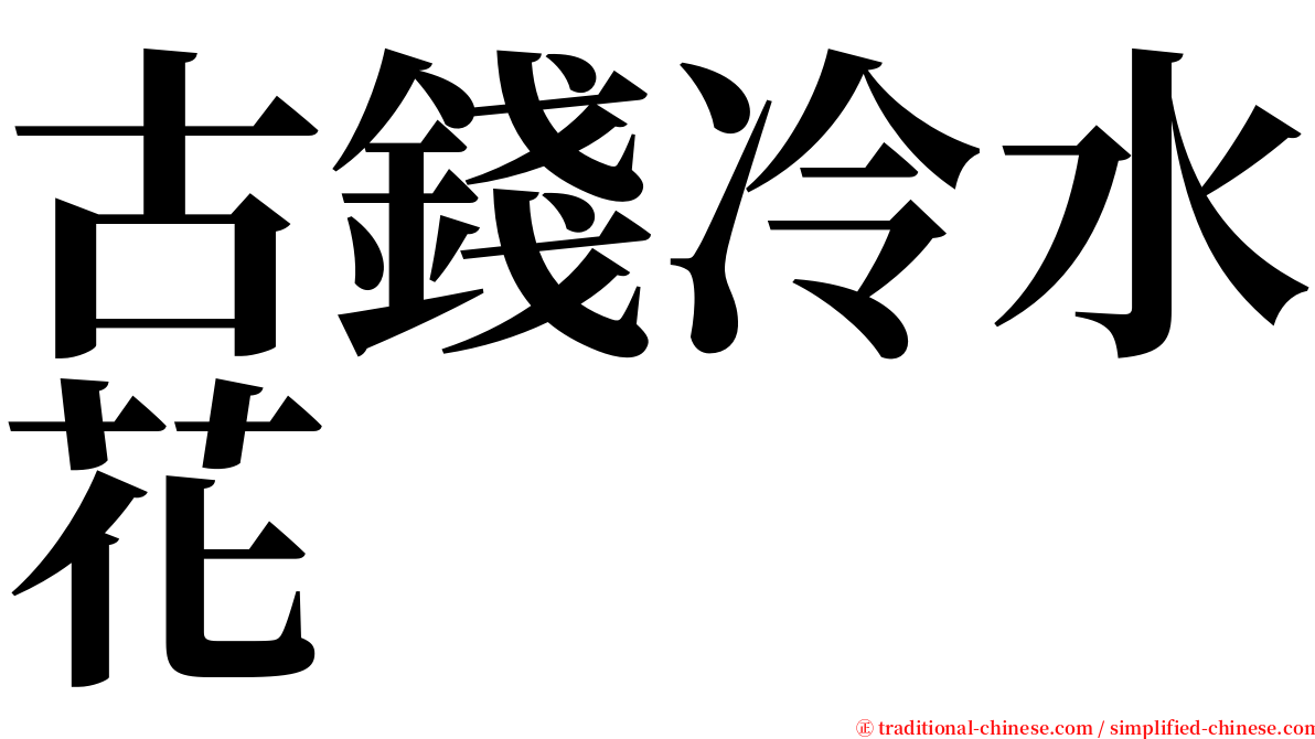 古錢冷水花 serif font