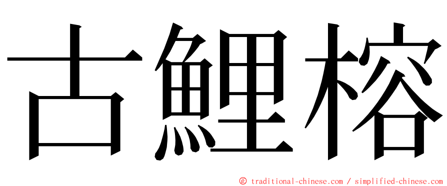 古鯉榕 ming font