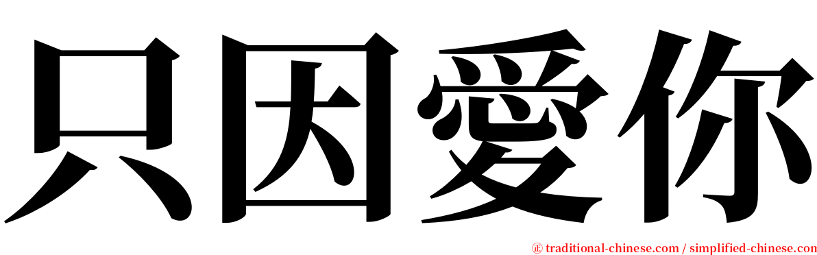 只因愛你 serif font