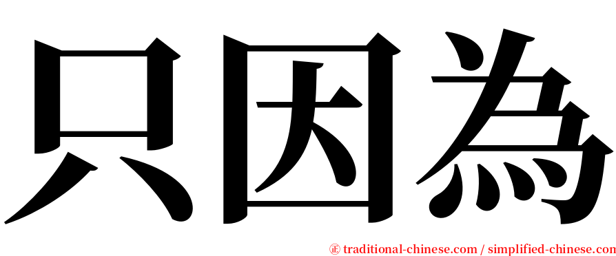 只因為 serif font