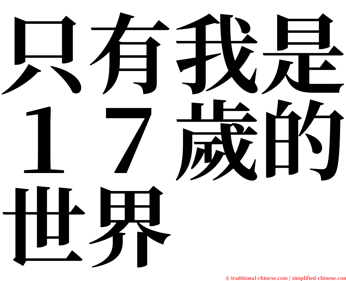 只有我是１７歲的世界 serif font